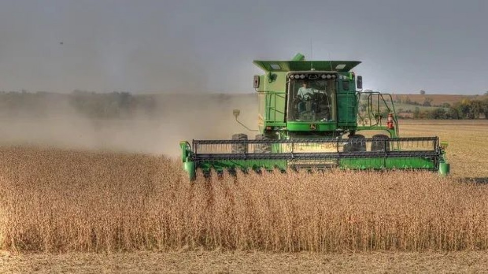 A. Loace: ''Cerramos una campaña de soja dispar, pero en invierno estamos en lo proyectado'' —  Agricultura — Dinámica Rural | El Espectador 810