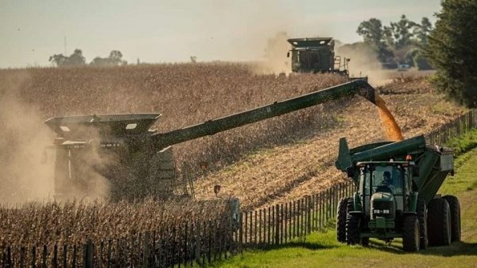 IDIMA: En la zafra 2020/21 la inversión en maquinaria agrícola aumentó un 35% —  Inversión — Dinámica Rural | El Espectador 810