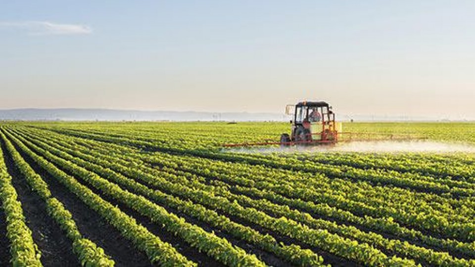Para la Agropecuaria de Dolores ‘’se da un gran paso en  seguros agrícolas’’ —  Agricultura — Dinámica Rural | El Espectador 810