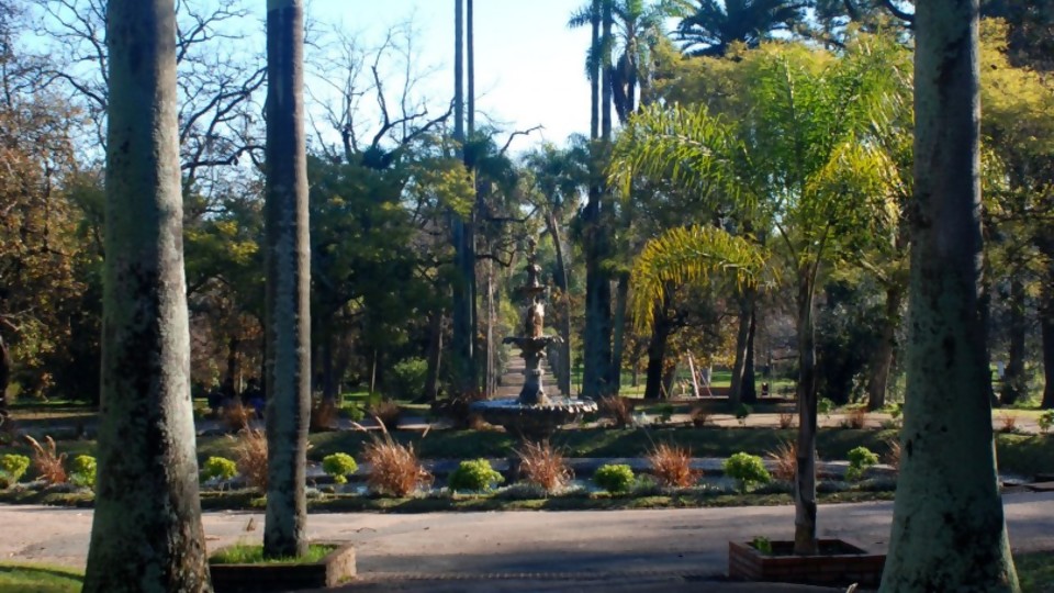 Jardín Botánico de Montevideo, algo más que un paseo al aire libre —  Qué tiene la tarde — Más Temprano Que Tarde | El Espectador 810