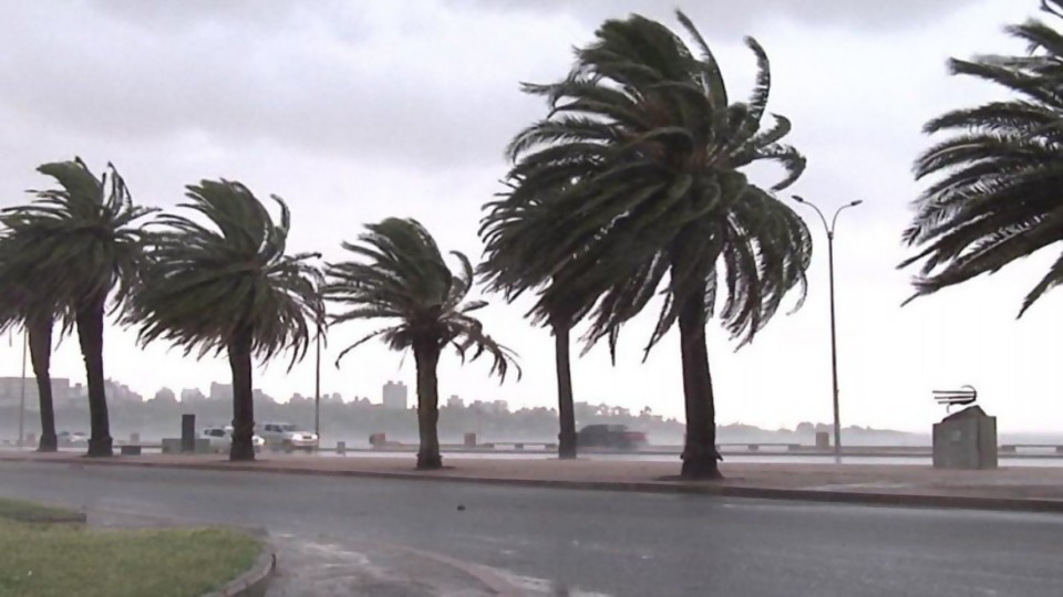 Nimbus: “Para esta tarde se estiman las rachas más fuertes de viento” —  Entrevistas — Primera Mañana | El Espectador 810