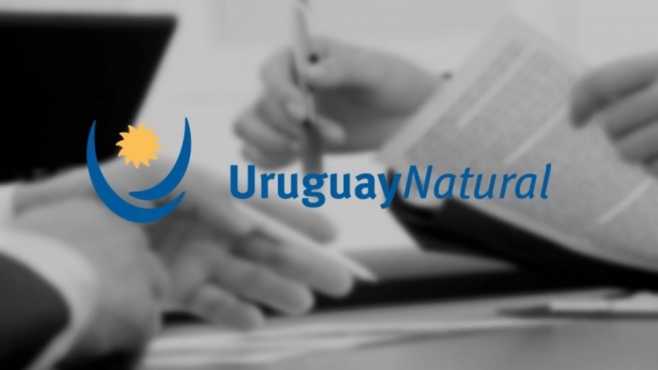 El cambio del eslogan país según Darwin y el salario real según el Cuesta Duarte —  NTN Concentrado — No Toquen Nada | El Espectador 810