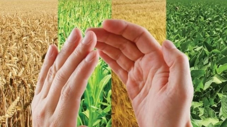L. Camaño: ''Bravo es un herbicida pre emergente de última tecnología'' —  Agricultura — Dinámica Rural | El Espectador 810