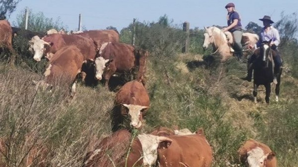 C. Monnet: ''Es preferible un mercado más estable y vender siempre al alza'' —  Mercados — Dinámica Rural | El Espectador 810