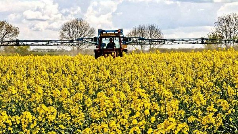 F. Morixe: ''Hoy todos los cultivos valen'' —  Comercio Exterior — Dinámica Rural | El Espectador 810