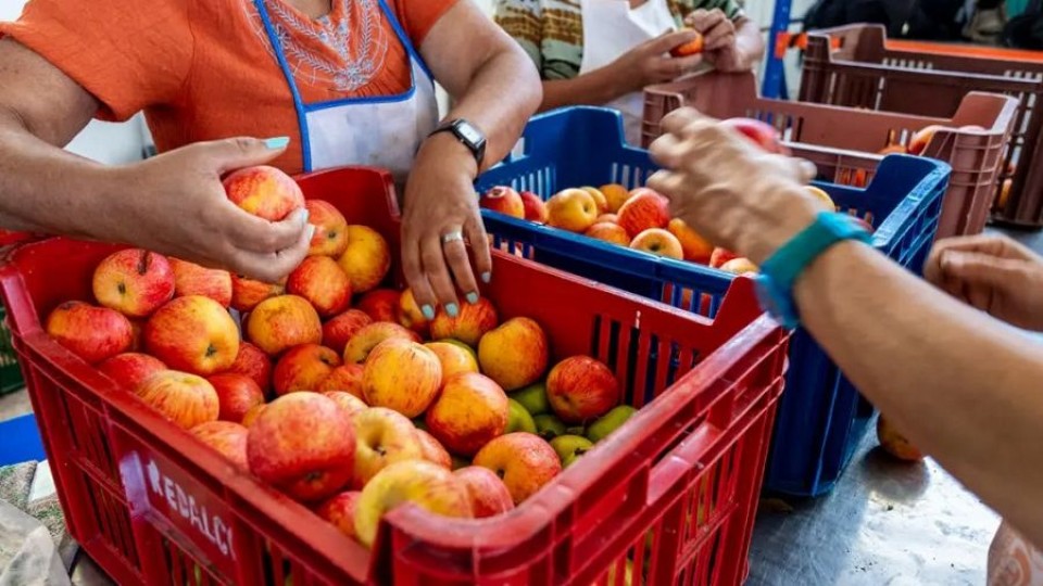 La organización REDALCO, que recupera frutas y verduras, fue premiada por su impacto social —  Qué tiene la tarde — Más Temprano Que Tarde | El Espectador 810