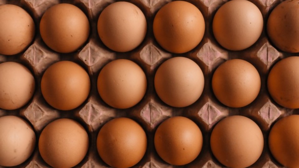 ¿Qué pasa con los huevos? —  La portada — Paren Todo | El Espectador 810