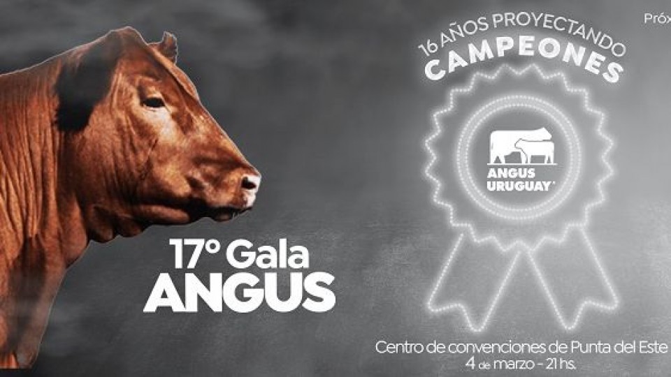 Gala Angus, un remate de elite —  Inversión — Dinámica Rural | El Espectador 810