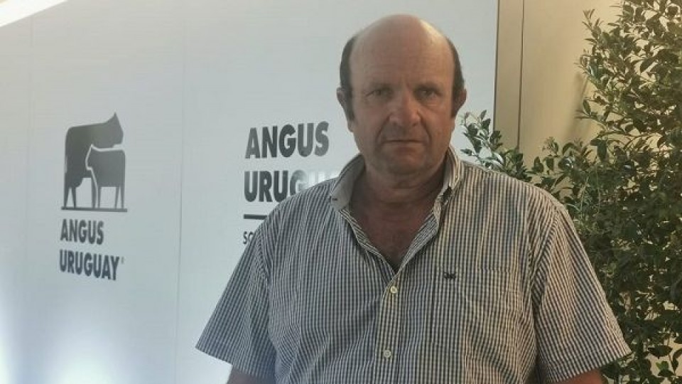 J. Bentancur: ''Tenemos muchas expectativas en el toro Gran Campeón en Expo Durazno'' —  Exposiciones — Dinámica Rural | El Espectador 810