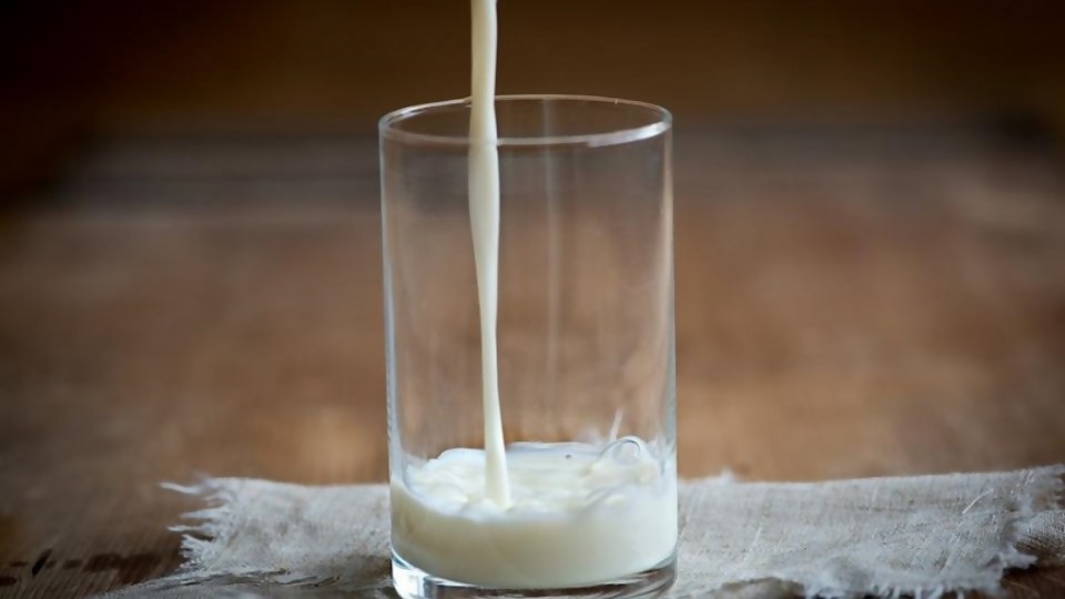 La leche y sus sustitutos —  Leticia Cicero — No Toquen Nada | El Espectador 810