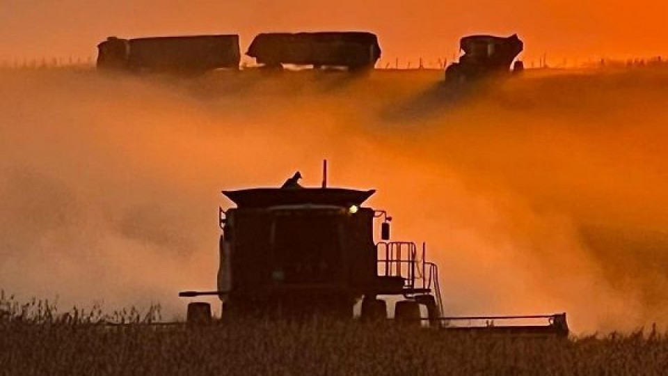 G. Carballal: ''Esta zafra de soja está muy por encima que la de 2021'' —  Agricultura — Dinámica Rural | El Espectador 810