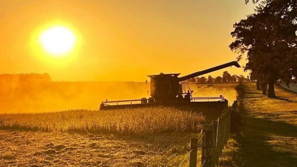 A. Alayón: ''Ha sido un año muy bueno en lo productivo y en precios'' —  Siembra y Cosecha — Dinámica Rural | El Espectador 810