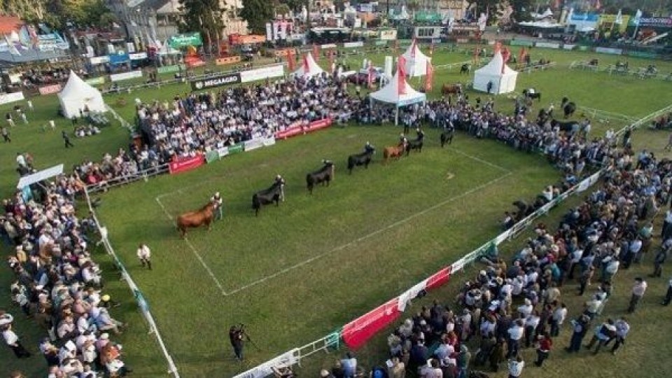 Expo Prado: regresa con su esencia productiva, tecnológica y genética —  Exposiciones — Dinámica Rural | El Espectador 810