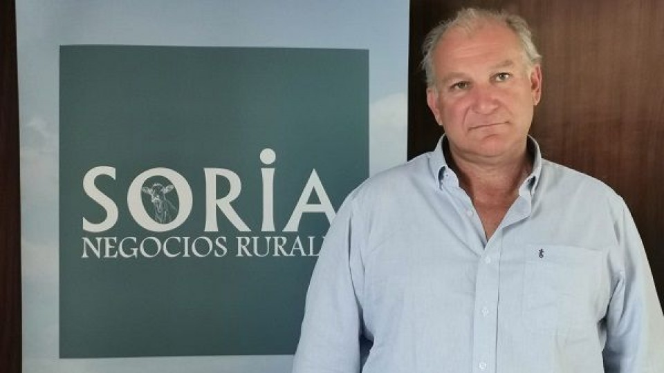 Zafra de primavera: ''Estamos ante una venta excluyente en todo sentido'' —  Zafra — Dinámica Rural | El Espectador 810