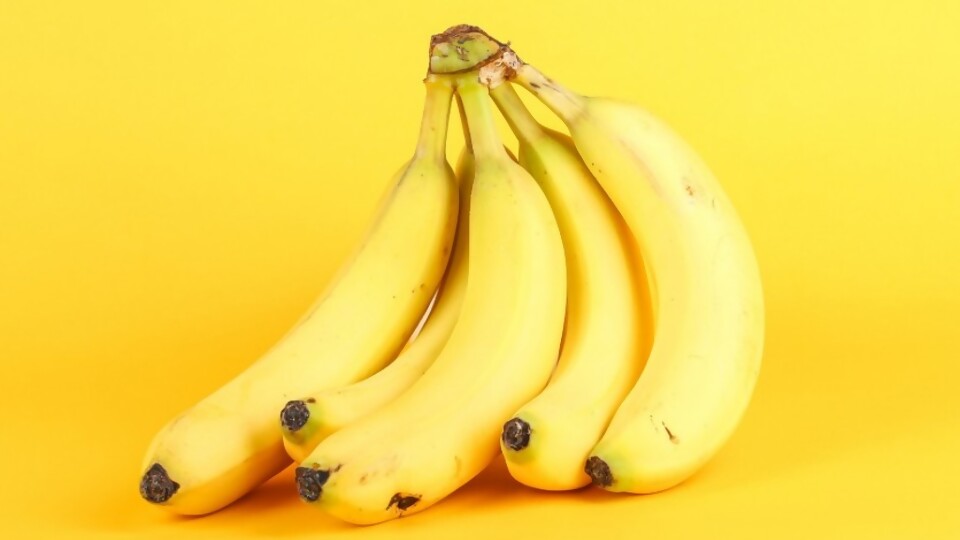 Cosas que no sabias acerca de la banana —  Segmento humorístico — La Venganza sera terrible | El Espectador 810