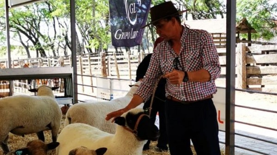 Centro Genético en ovinos ''producirá carne de calidad para exportación'' —  Reproducción — Dinámica Rural | El Espectador 810