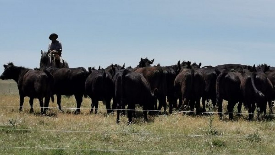 ''La Niña'' baja su intensidad y da paso a la lluvia —  Clima — Dinámica Rural | El Espectador 810