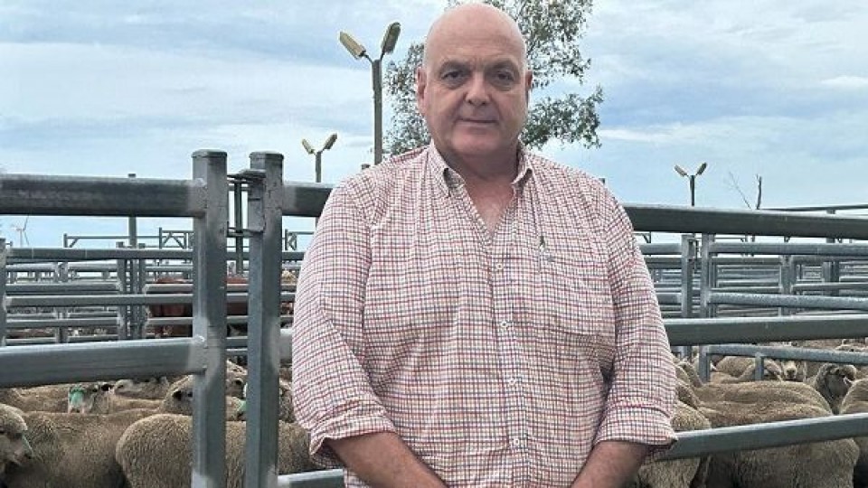 O. Fernández: ''a pesar de la coyuntura vemos un buen año para la ganadería'' —  Mercados — Dinámica Rural | El Espectador 810