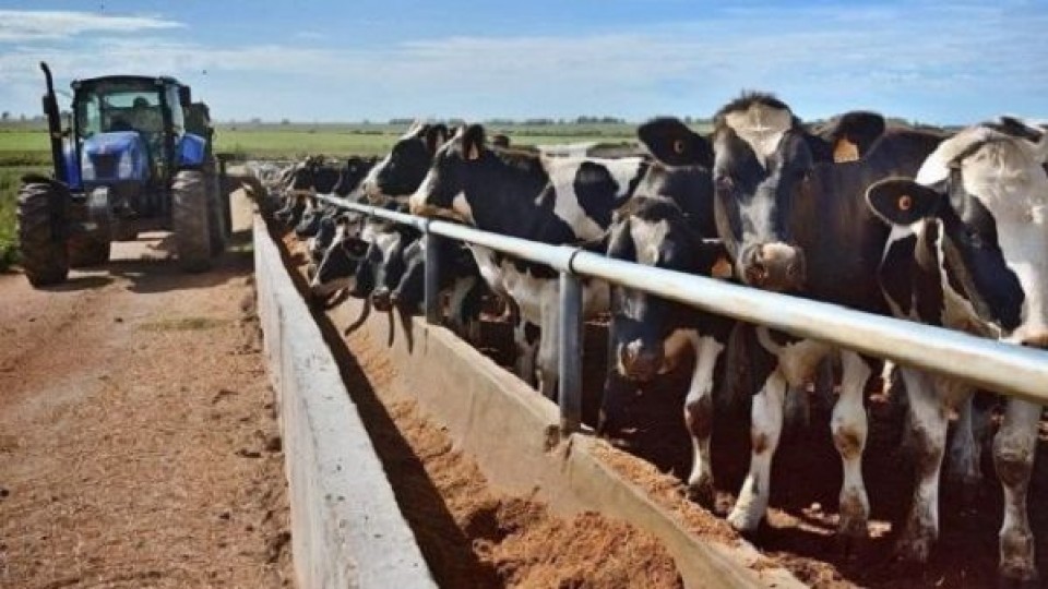 Sebastián da Silva: urgencia para aprobar el proyecto de asistencia al sector lechero —  Política — Dinámica Rural | El Espectador 810