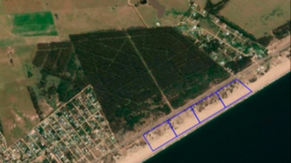 Proyecto Marina Beach en Maldonado afectará de manera irreversible el sistema de dunas, principal elemento de protección natural de las costas uruguayas —  Cuestión de derechos: Dr. Juan Ceretta — Más Temprano Que Tarde | El Espectador 810