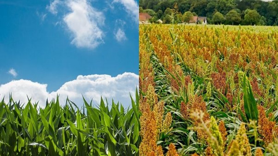 Prolesa impulsa portfolio de fertilizantes con interesantes plazos y meses de gracia  —  Lechería — Dinámica Rural | El Espectador 810