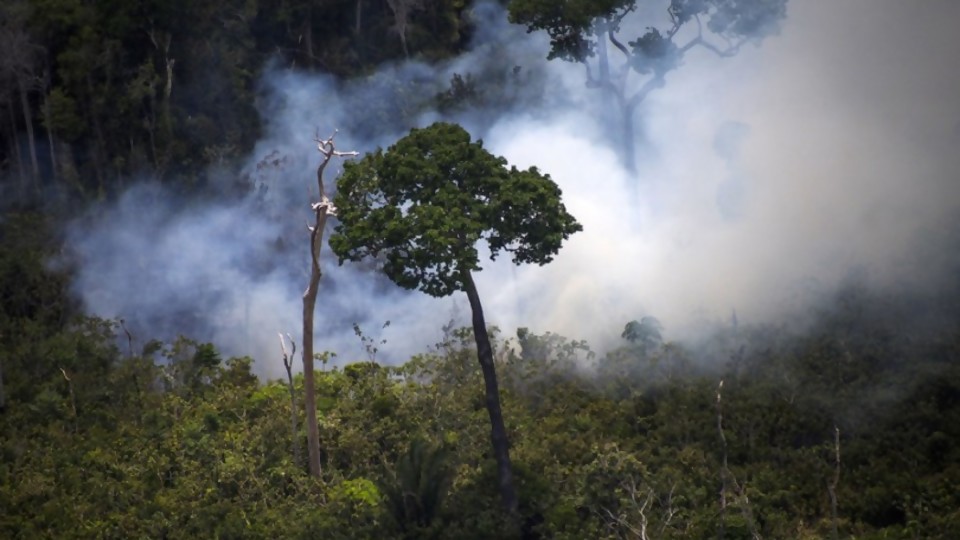 Alejandro Nario: “Si continúa el avance sobre la Amazonia, tendremos graves problemas” —  Entrevistas — Al Día 810 | El Espectador 810