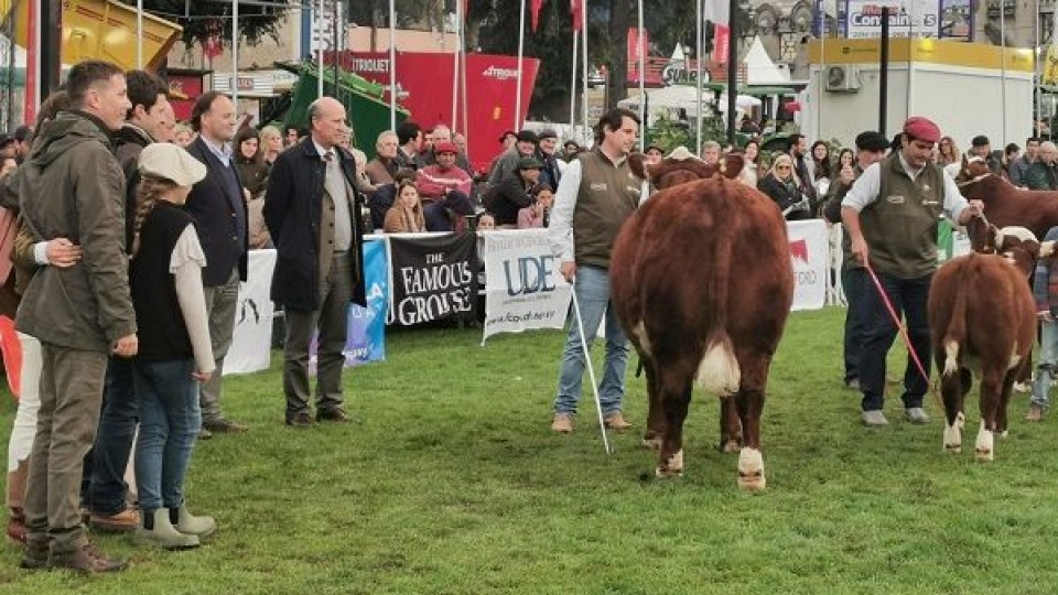 Ganadera San Salvador y Carlos Pages coparon la pista en Polled Heteford —  Ganadería — Dinámica Rural | El Espectador 810