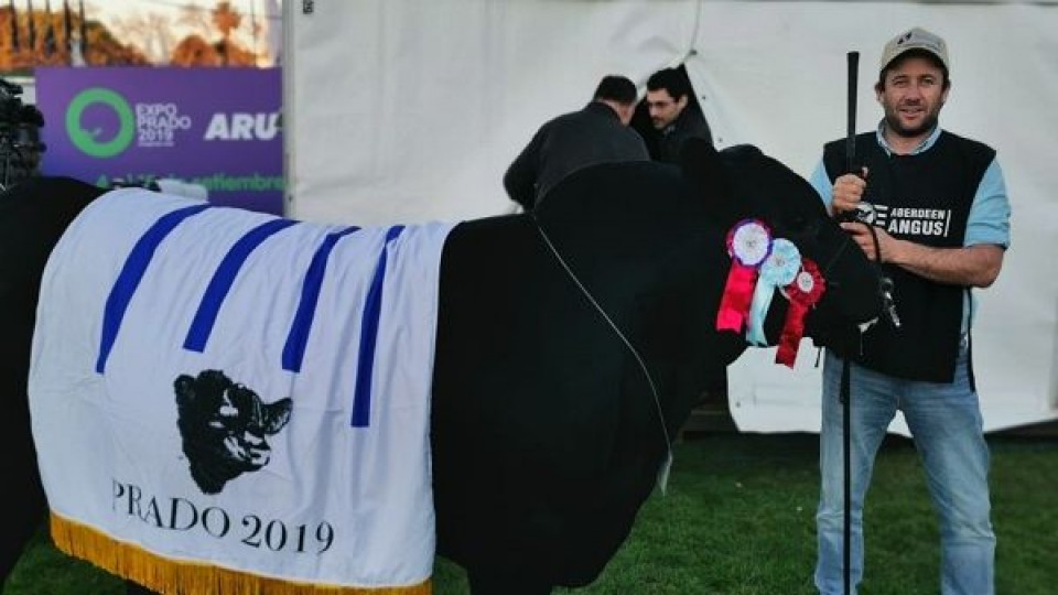 El Yunque' logró el Gran Campeón en Expo Prado 2019 —  Ganadería — Dinámica Rural | El Espectador 810