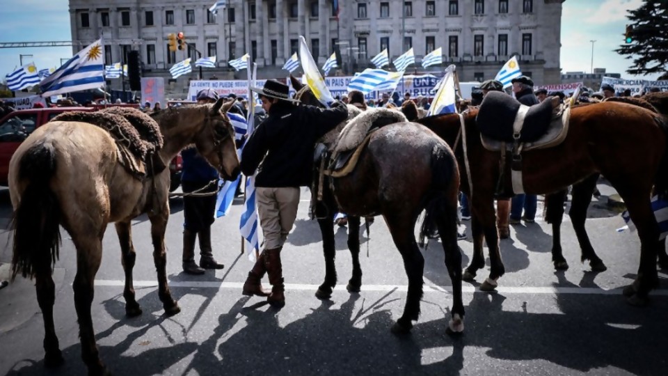 El monolito de Un Solo Uruguay y cómo fue esta legislatura de Unidad Popular —  NTN Concentrado — No Toquen Nada | El Espectador 810