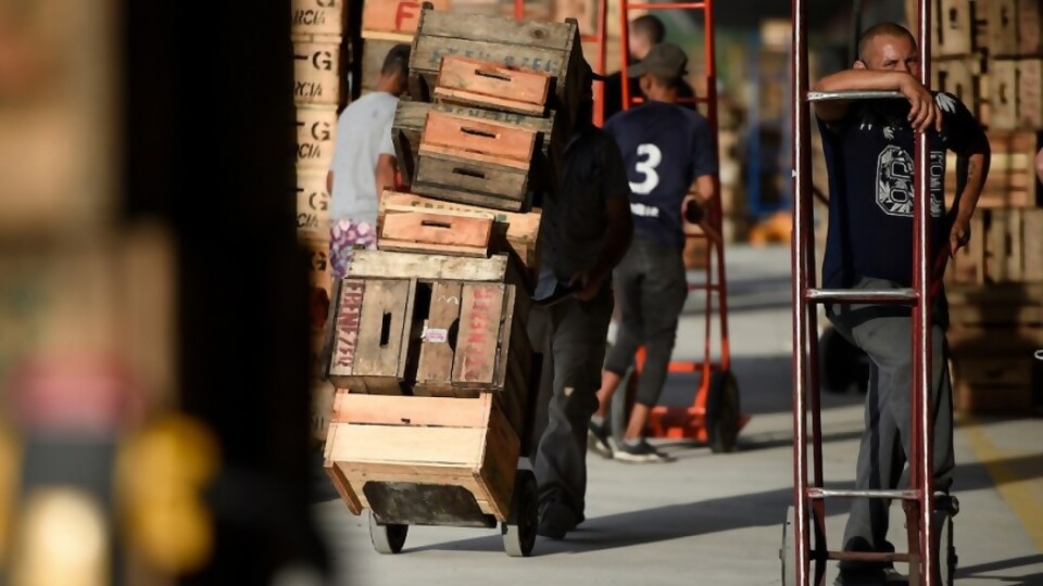 Frutas y hortalizas frenaron el alza de precios —  Entrevistas — No Toquen Nada | El Espectador 810