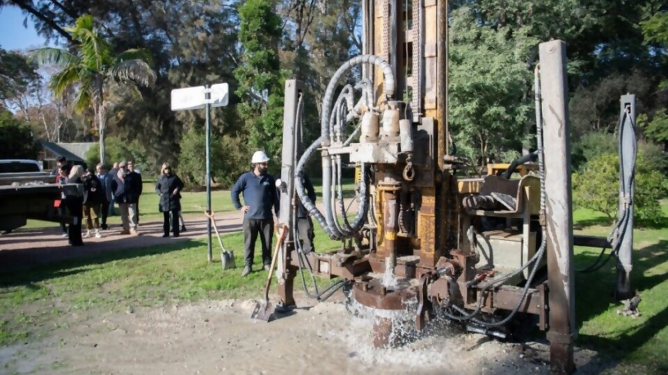 ¡Cosse encontró agua en el Botánico! —  Darwin concentrado — No Toquen Nada | El Espectador 810