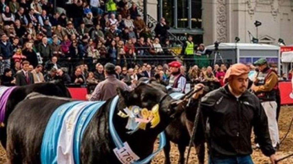 Expo Palermo: “se está presentando la mejor genética”, resaltó Millan —  Exposiciones — Dinámica Rural | El Espectador 810