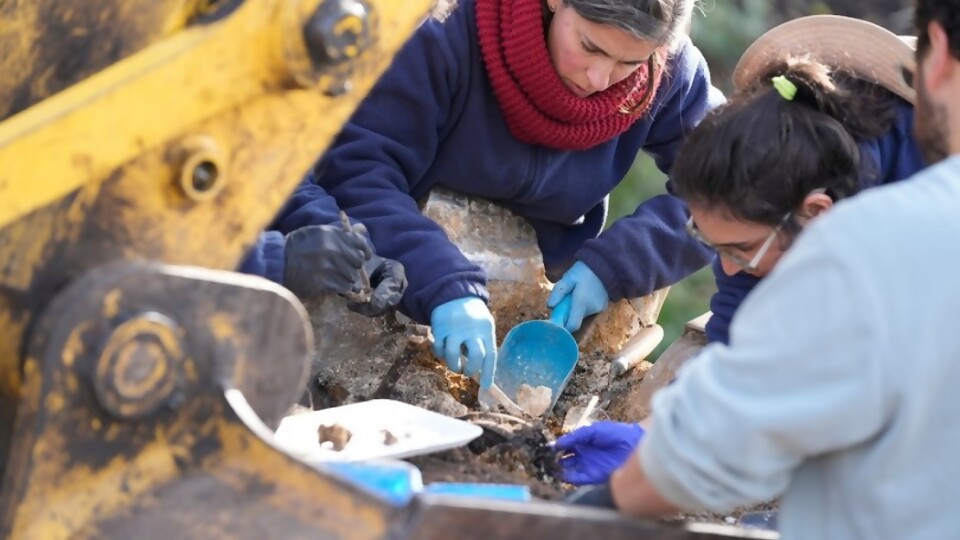 Identificación de restos del Batallón 14 es un objetivo posible y hubo avances —  Informes — No Toquen Nada | El Espectador 810