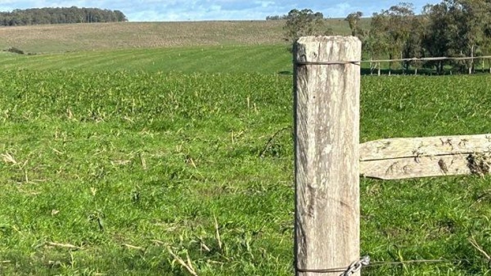 Mangarelli: ‘‘que se nos tome en consideración para poder seguir hacia adelante’’ —  gremiales — Dinámica Rural | El Espectador 810