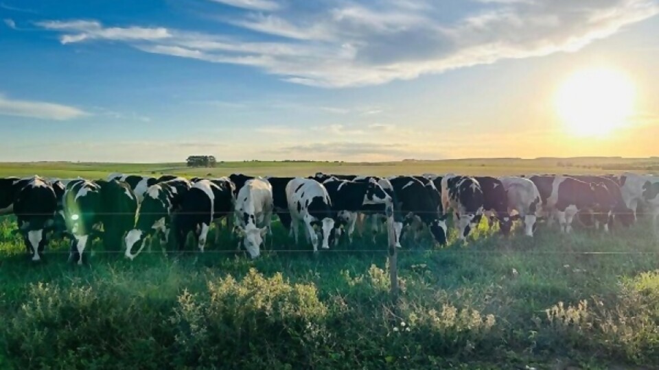 Hernández: le pedimos a Conaprole el máximo esfuerzo posible, esperando hasta el último día de agosto —  Lechería — Dinámica Rural | El Espectador 810