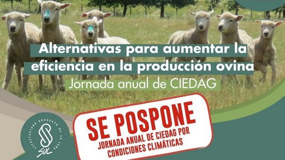 SUL postergó hasta nuevo aviso la jornada “Alternativas para aumentar la eficiencia en la producción ovina” —  Mercado Lanero — Dinámica Rural | El Espectador 810