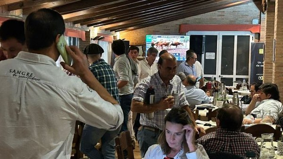 Bachino: primera jornada de remate N°193 de Lote 21 alcanzó 95% de ventas —  Mercados — Dinámica Rural | El Espectador 810