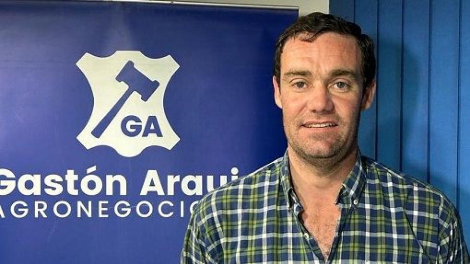 Gastón Araújo presentará 6.000 lanares, por liquidación, en Pantalla Uruguay —  Ganadería — Dinámica Rural | El Espectador 810