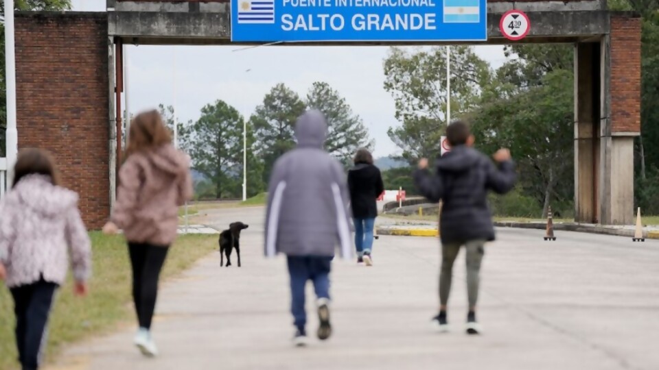 Comisión Técnia Mixta de Salto Grande o desprolijidad política de Estado —  Darwin concentrado — No Toquen Nada | El Espectador 810