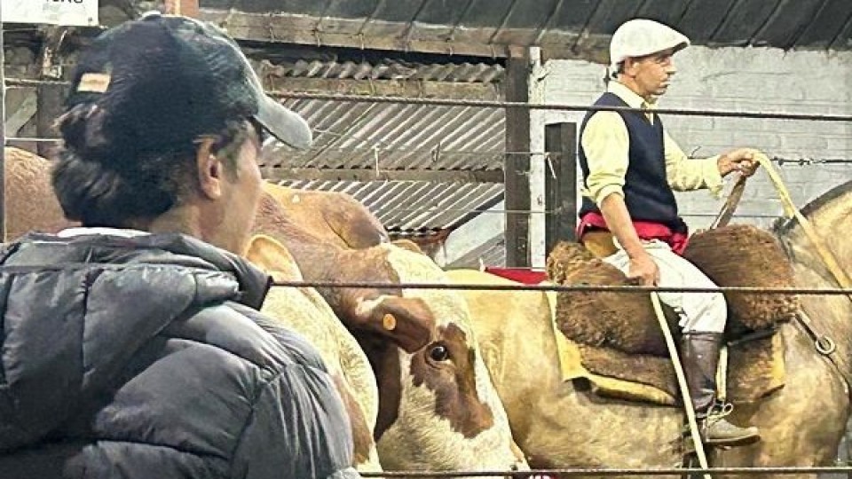 Braforazo: “un nivel realmente espectacular”, destacó Alejandro Zambrano —  Zafra — Dinámica Rural | El Espectador 810