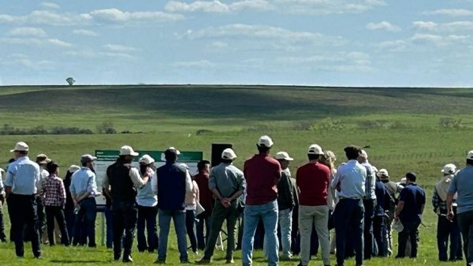 Fernández: curso ganadero de Plan Agropecuario recibe inscripciones hasta el 8 de marzo —  Extensión — Dinámica Rural | El Espectador 810