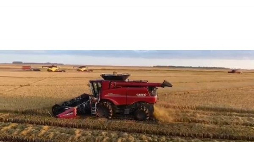 Cisneros: una semana con tormentas y con acumulados que podrían llegar a los 200 mm —  Clima — Dinámica Rural | El Espectador 810