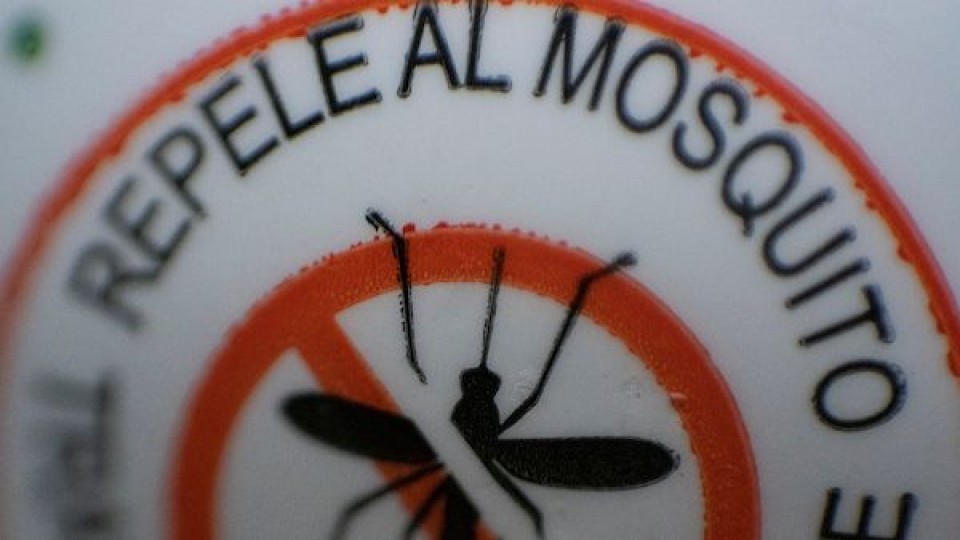 Repelente casero contra los mosquitos —  Audios — Paren Todo | El Espectador 810