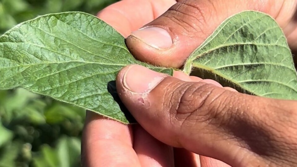 Bidegain: precipitaciones el miércoles, y luego días relativamente soleados con temperatura otoñal —  Clima — Dinámica Rural | El Espectador 810