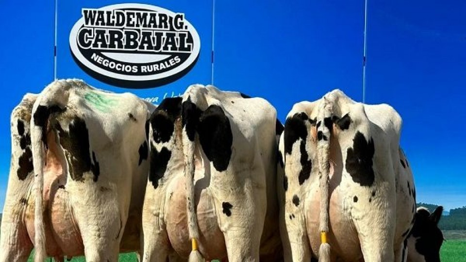 Martínez: zafra de ganado lechero con colocación total y un próximo remate de ganado excepcional —  Ganadería — Dinámica Rural | El Espectador 810