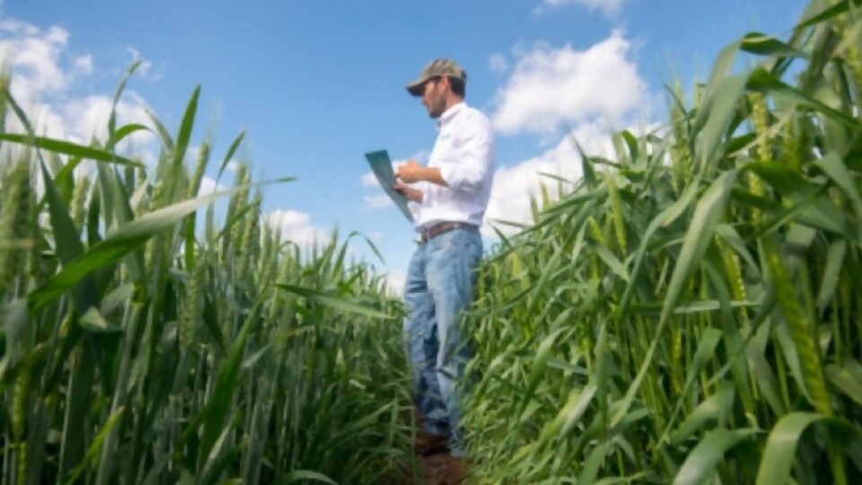 ADP en recorrida de campo abierta junto al fitopatólogo Marcelo Carmona —  Agricultura — Dinámica Rural | El Espectador 810