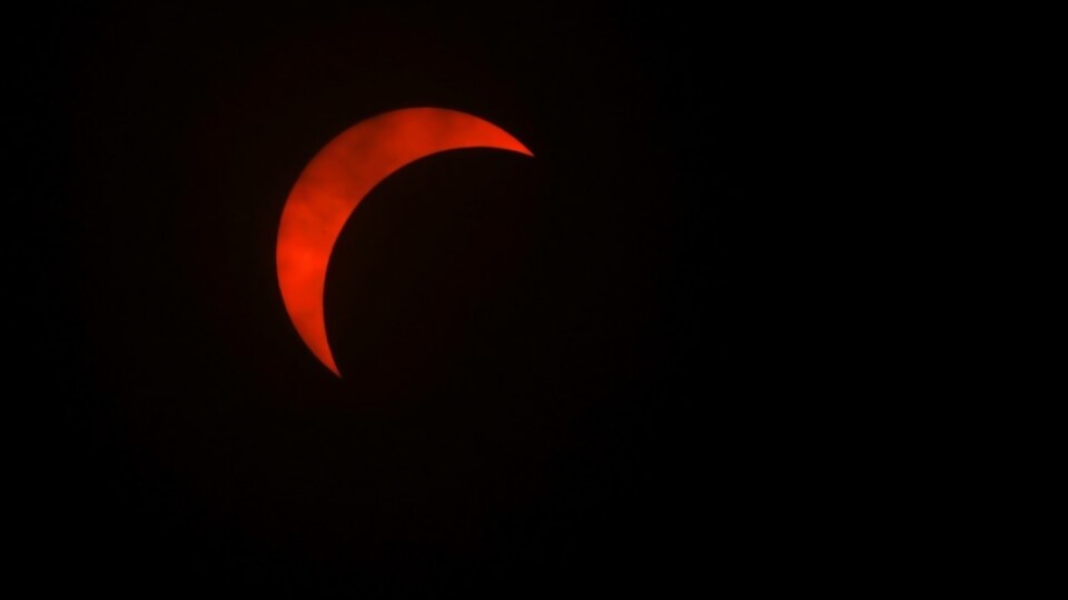 El eclipse total afectó hasta a los horóscopos, según el Niño Prodigio —  Columna de Darwin — No Toquen Nada | El Espectador 810