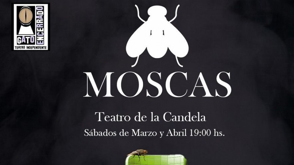 Café para dos: Moscas  —  Café para dos — Otras metaforas | El Espectador 810