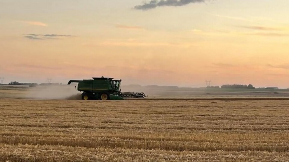 Davy Dufour: rindes un poco por debajo de lo que se pensaba cuando se veían los cultivos —  Agricultura — Dinámica Rural | El Espectador 810