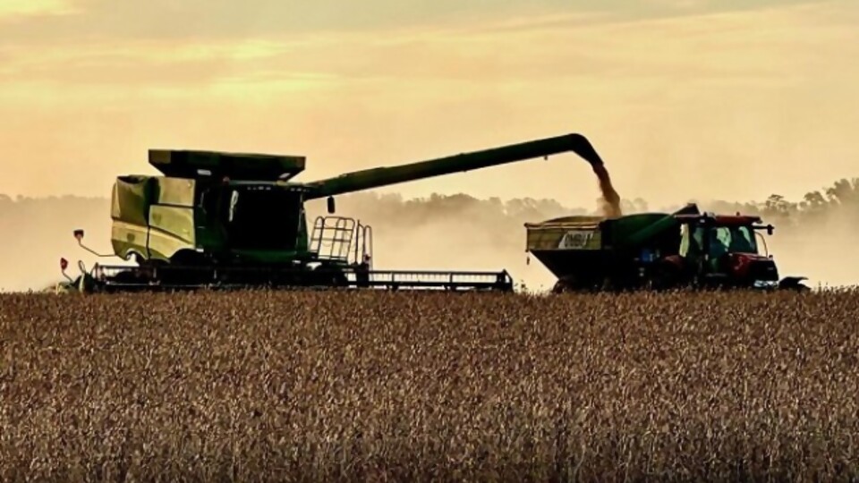 Carballal: la campaña de soja, lo que deja ver el maíz, y la presentación de BFFM —  Agricultura — Dinámica Rural | El Espectador 810
